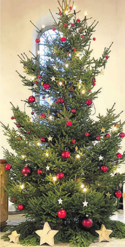 Die Weihnachtsüberraschung