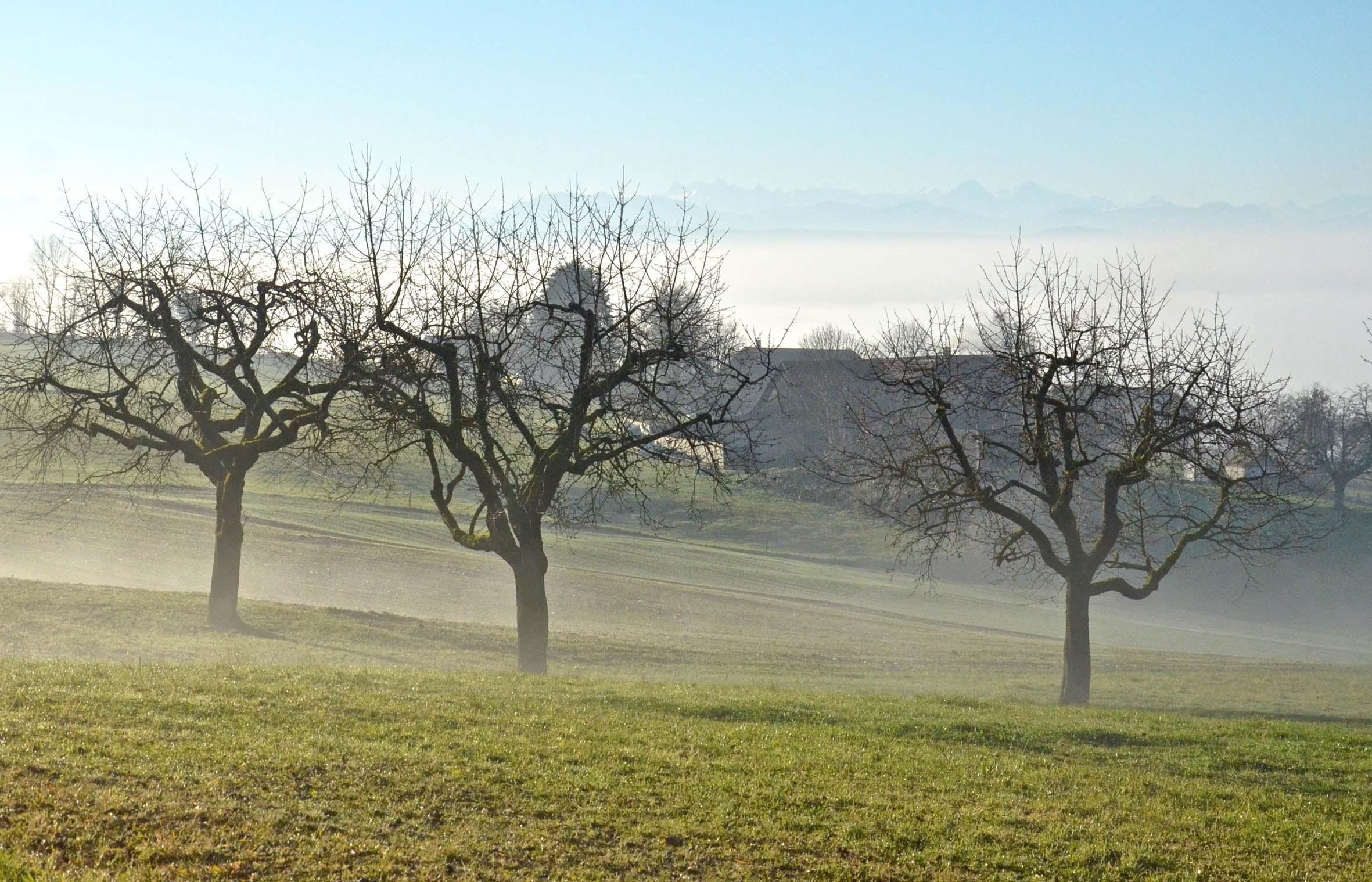 In Stetten steigt der Eigenmietwert am meisten