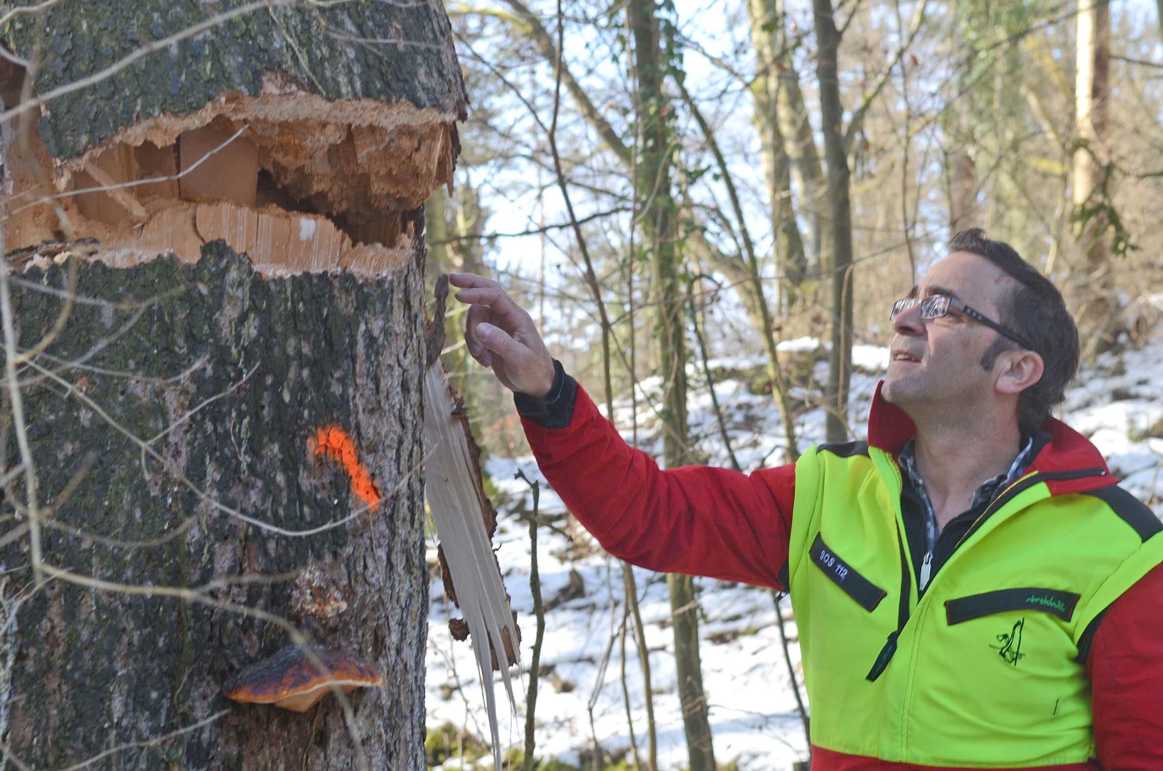 Massiver Eingriff beim Naturfreundehaus Mägenwil - Das Bild wird blockiert. – Möglicherweise durch einen aktiven Adblocker.