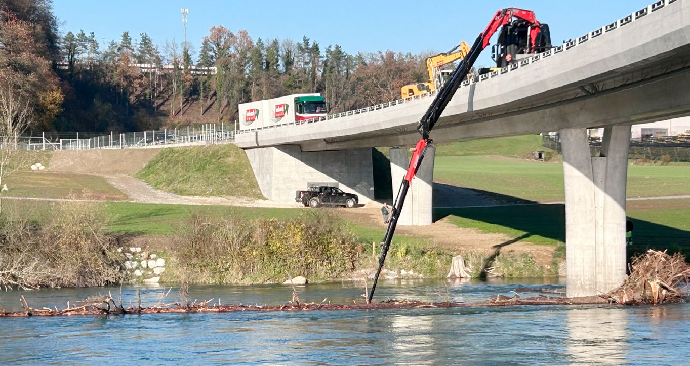 Mächtiger Baumstamm angeschwemmt