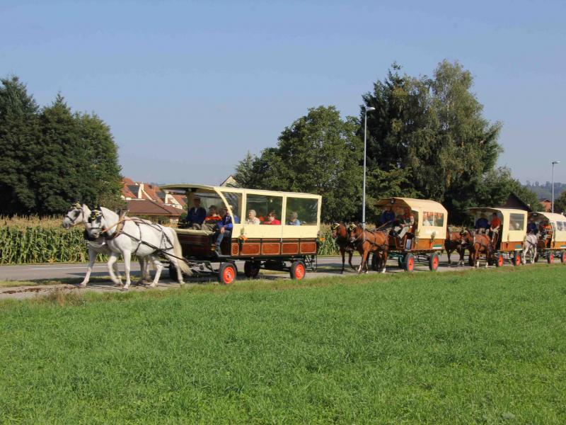 Mit acht Pferdestärken ins Gnadenthal