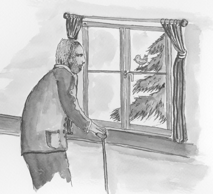 Weihnachtsgeschichte