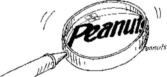 Peanuts