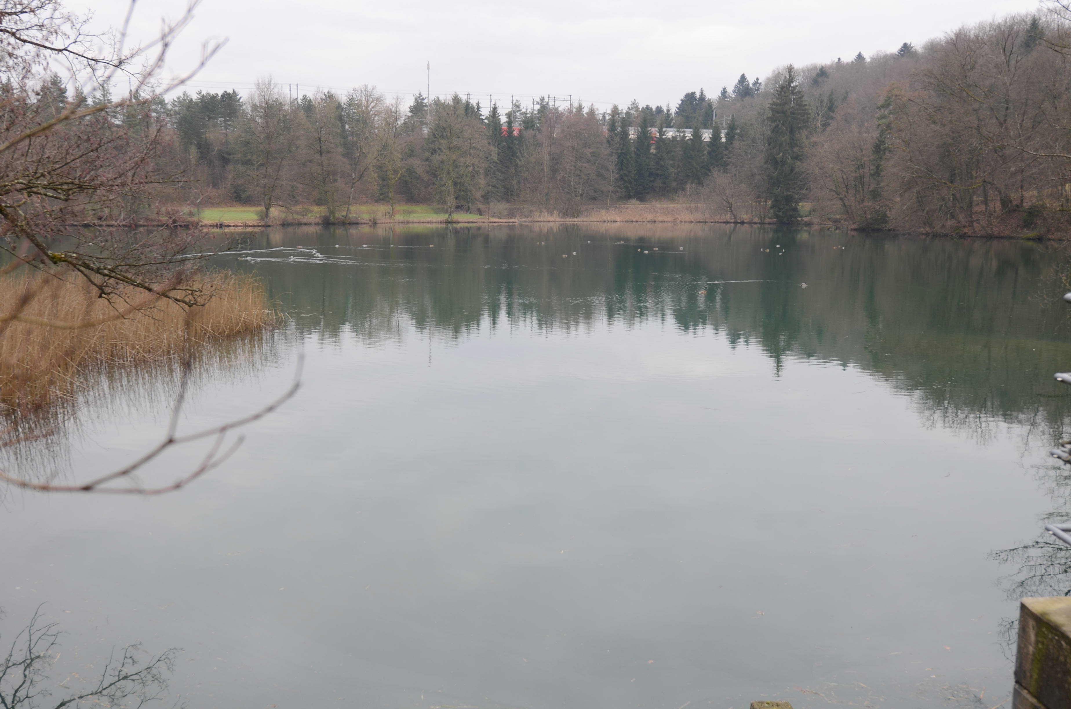 Mellingen: Tankanlage AG saniert den Auslauf des Löschweihers - Das Bild wird blockiert. – Möglicherweise durch einen aktiven Adblocker.