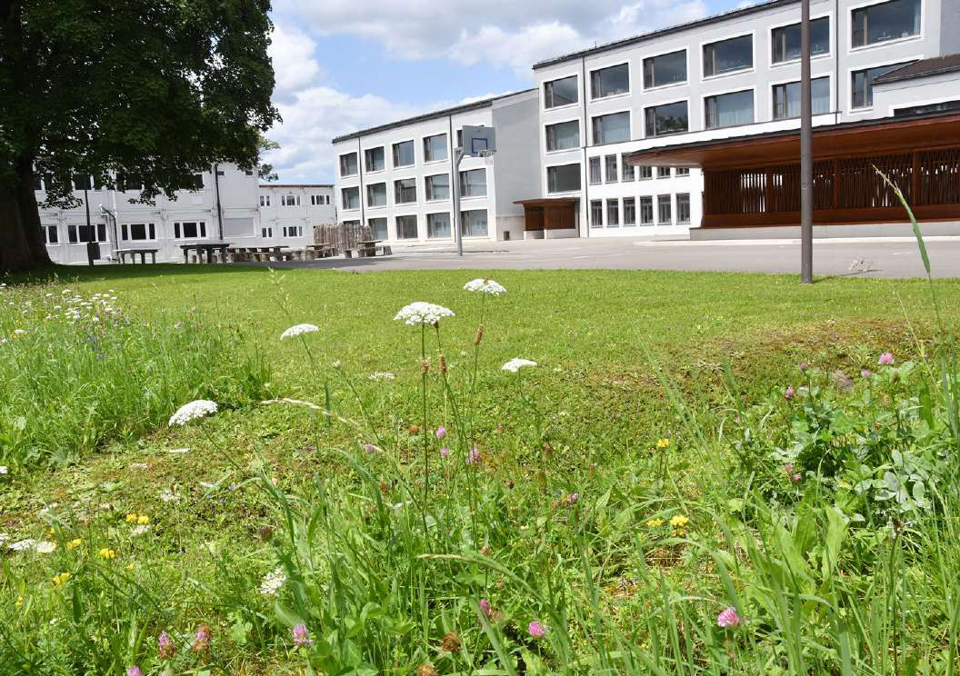 Eine Doppelturnhalle wird mitgeplant