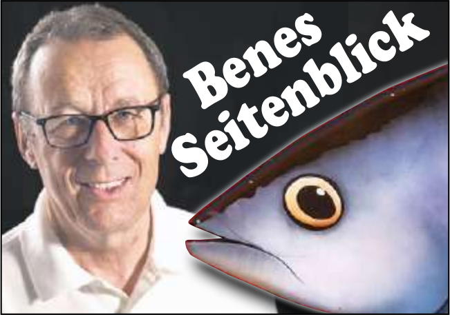 Benes Seitenblick