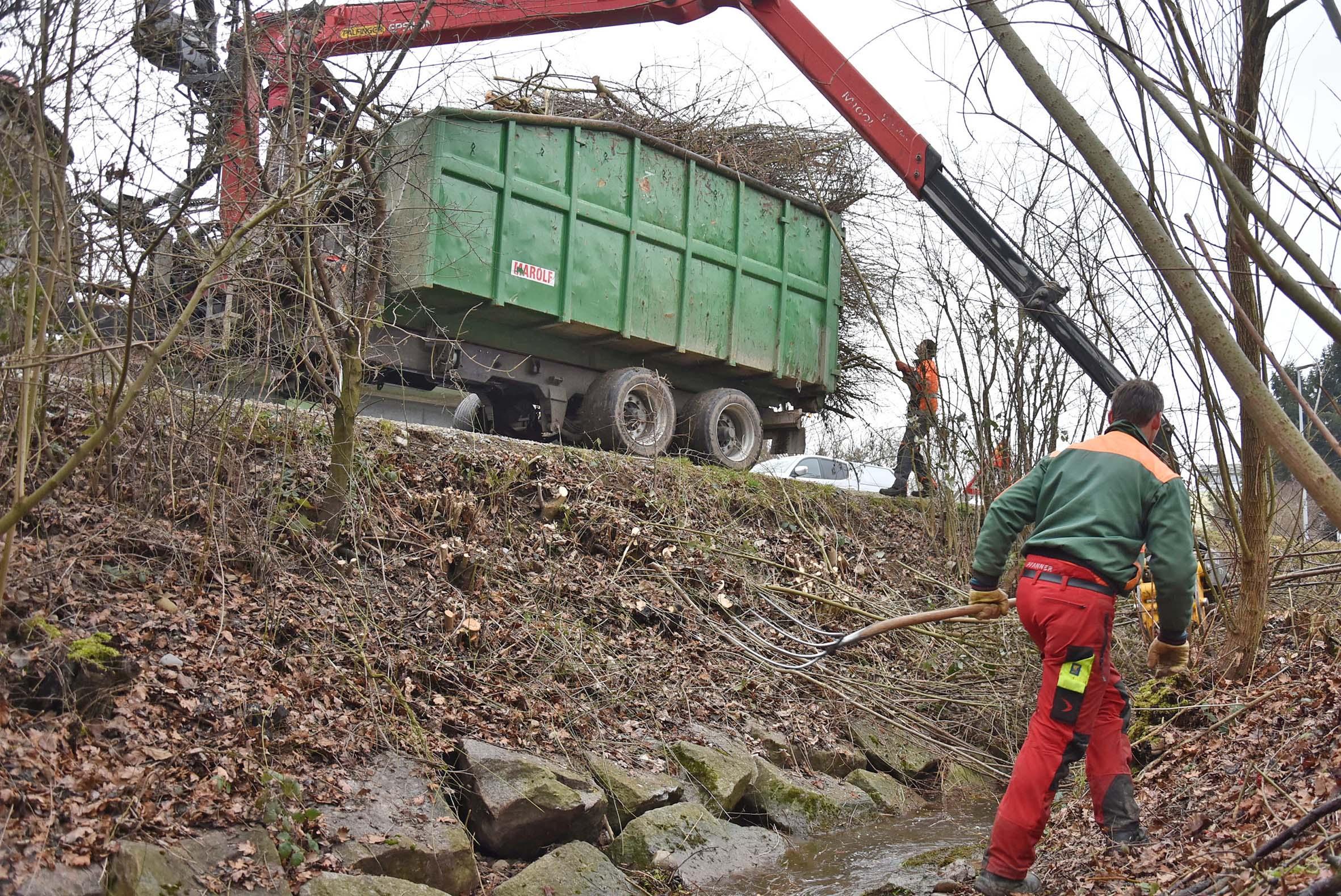 Am Bach siehts kahl aus