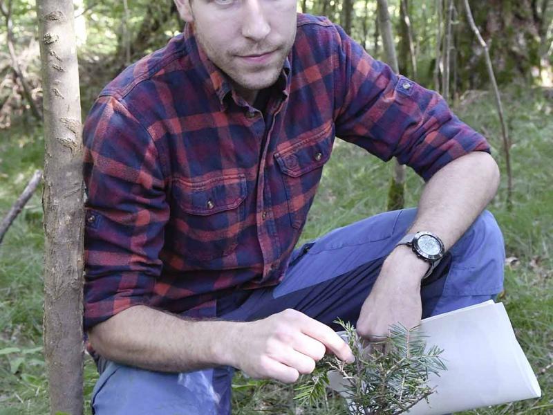 Umdenken bei der Waldbewirtschaftung