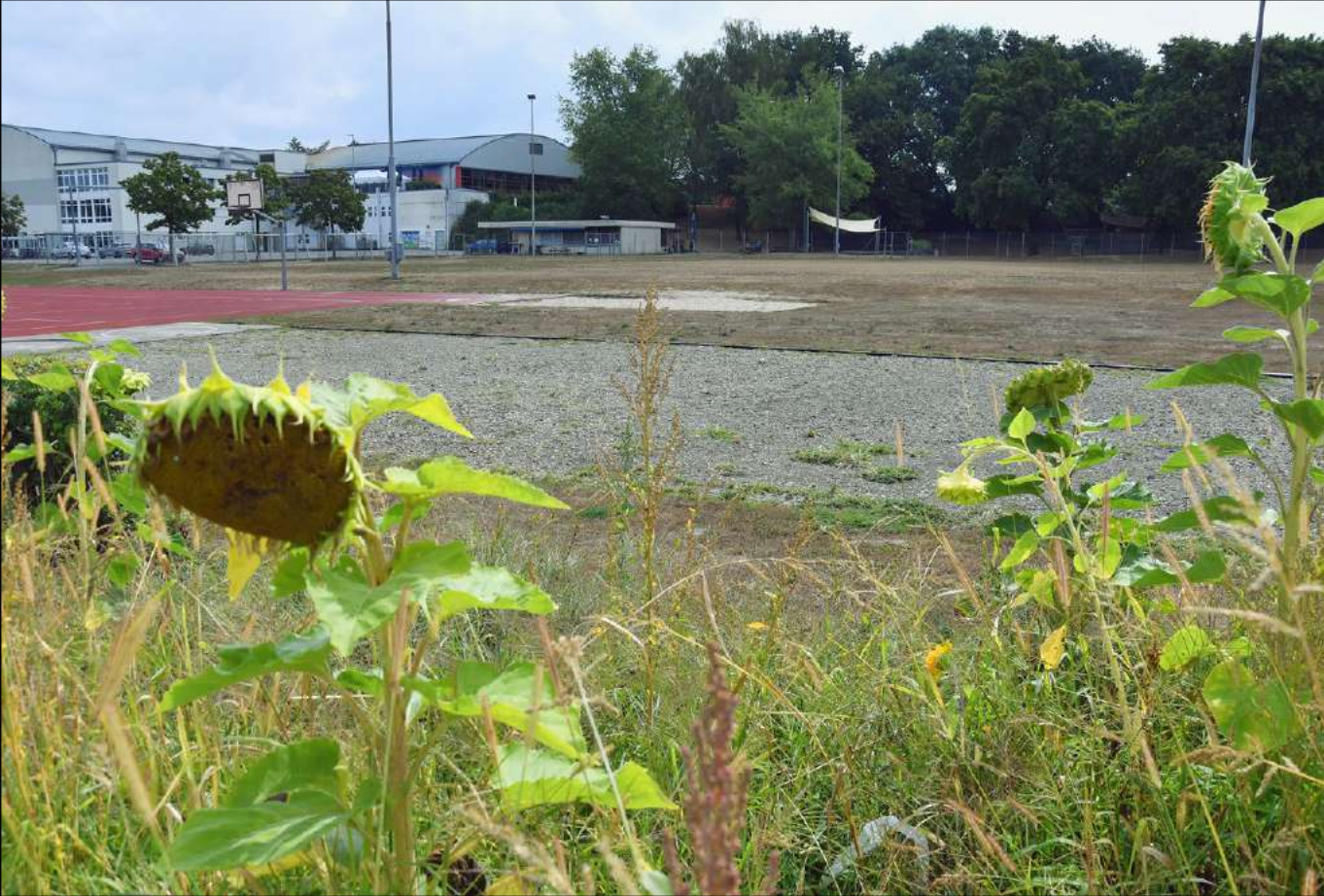 Entstehen hier Beachvolleyball-Felder?
