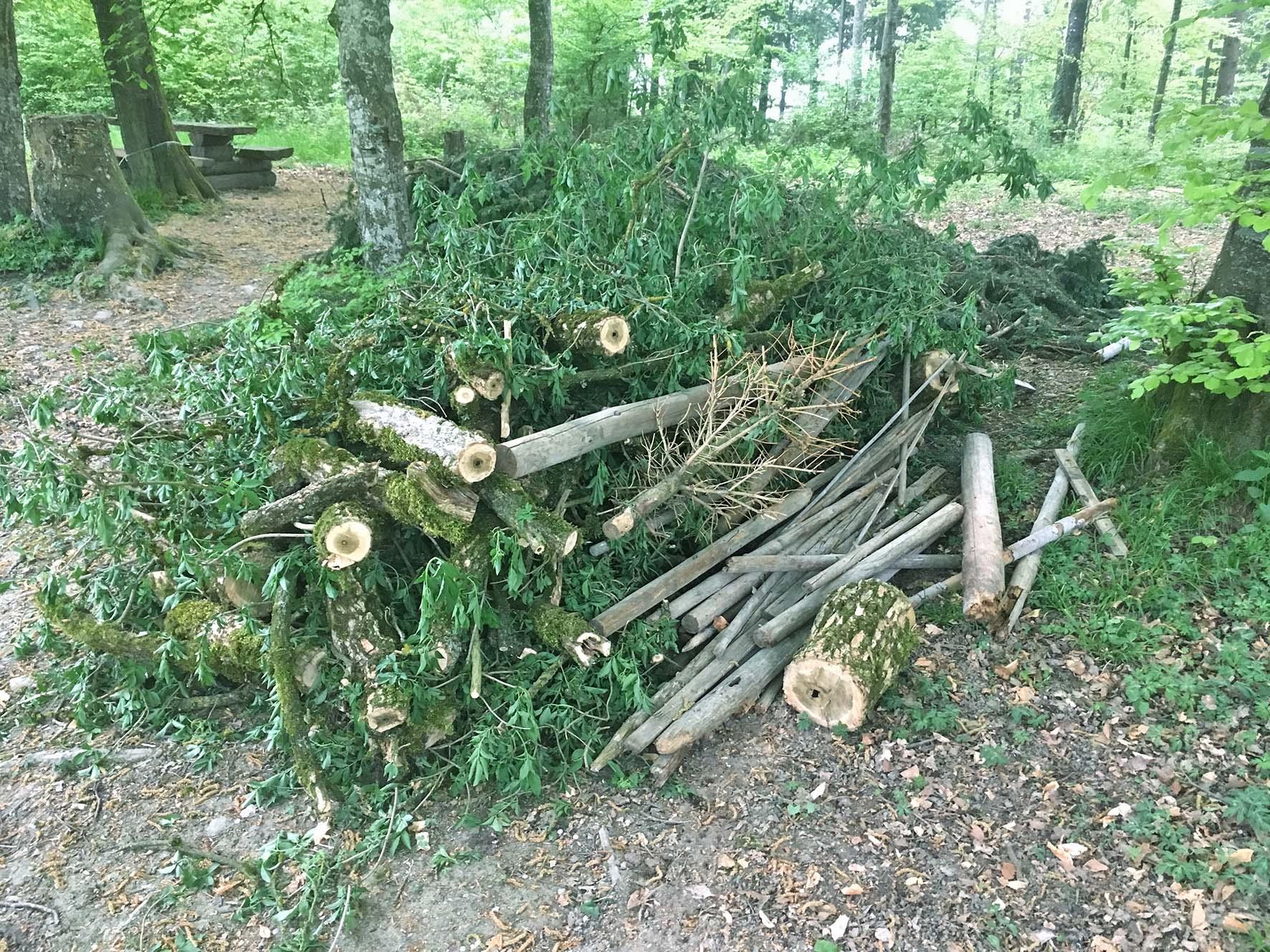 Wer hat dieses Holz in Tägerig entsorgt?