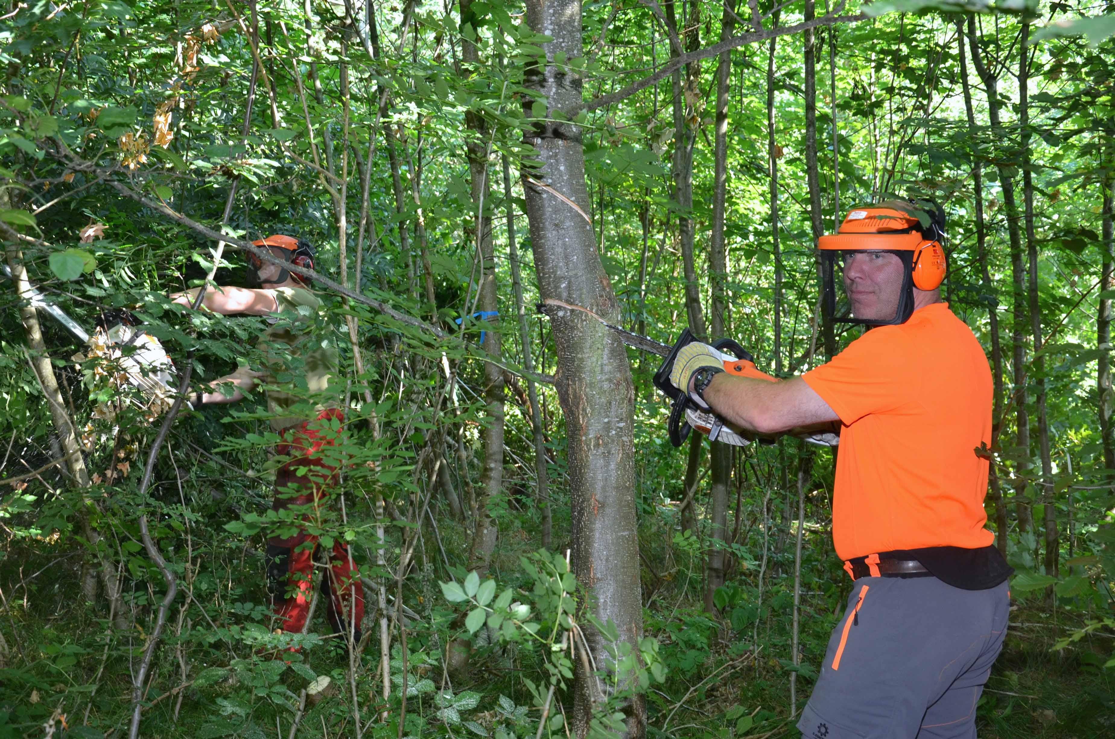 Der Wald ist gratis – und wer bezahlt?