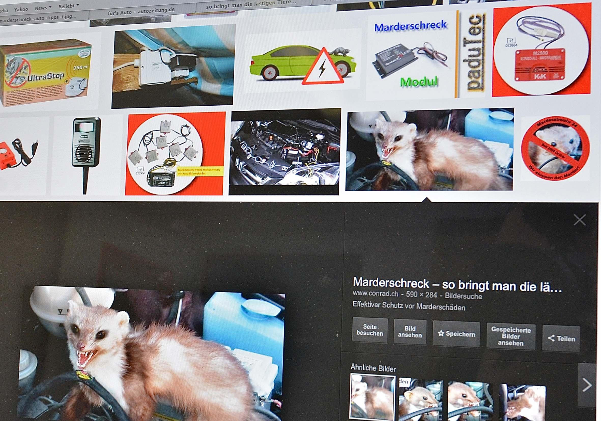 Er bringt Nachbarn um den Schlaf - Das Bild wird blockiert. – Möglicherweise durch einen aktiven Adblocker.