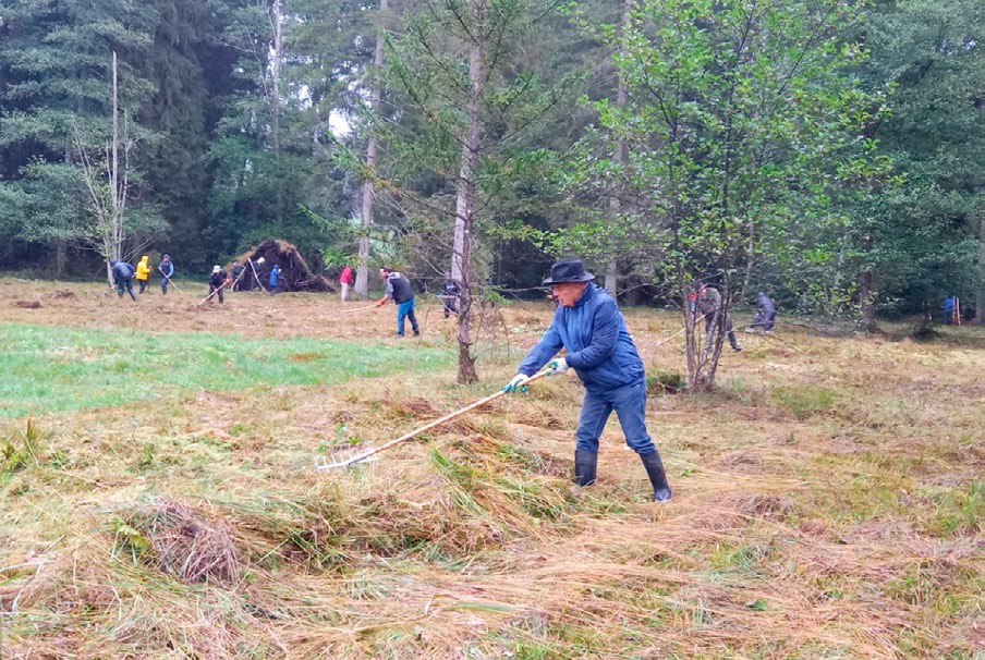 Die Pflege im Torfmoos