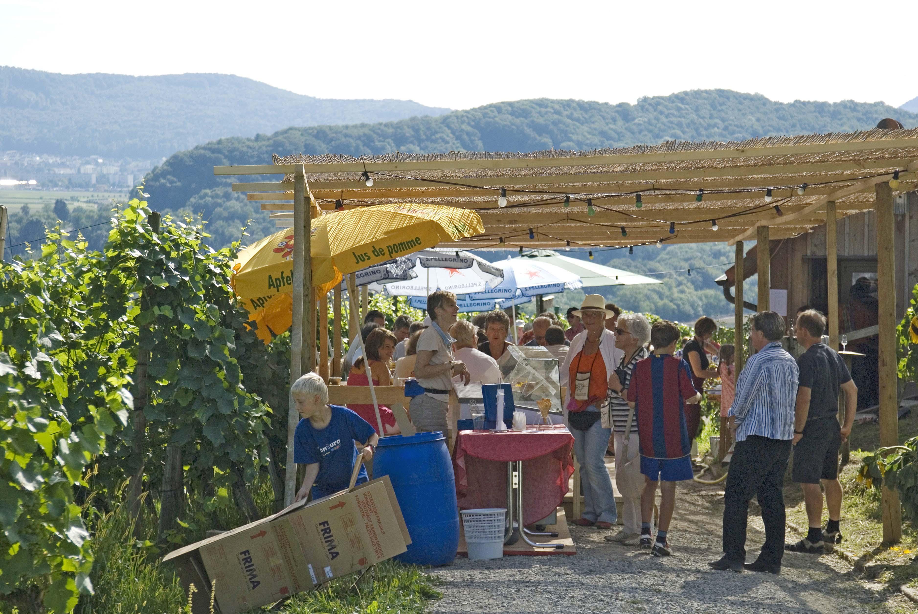 Bald lebt und bebt es im Rebberg