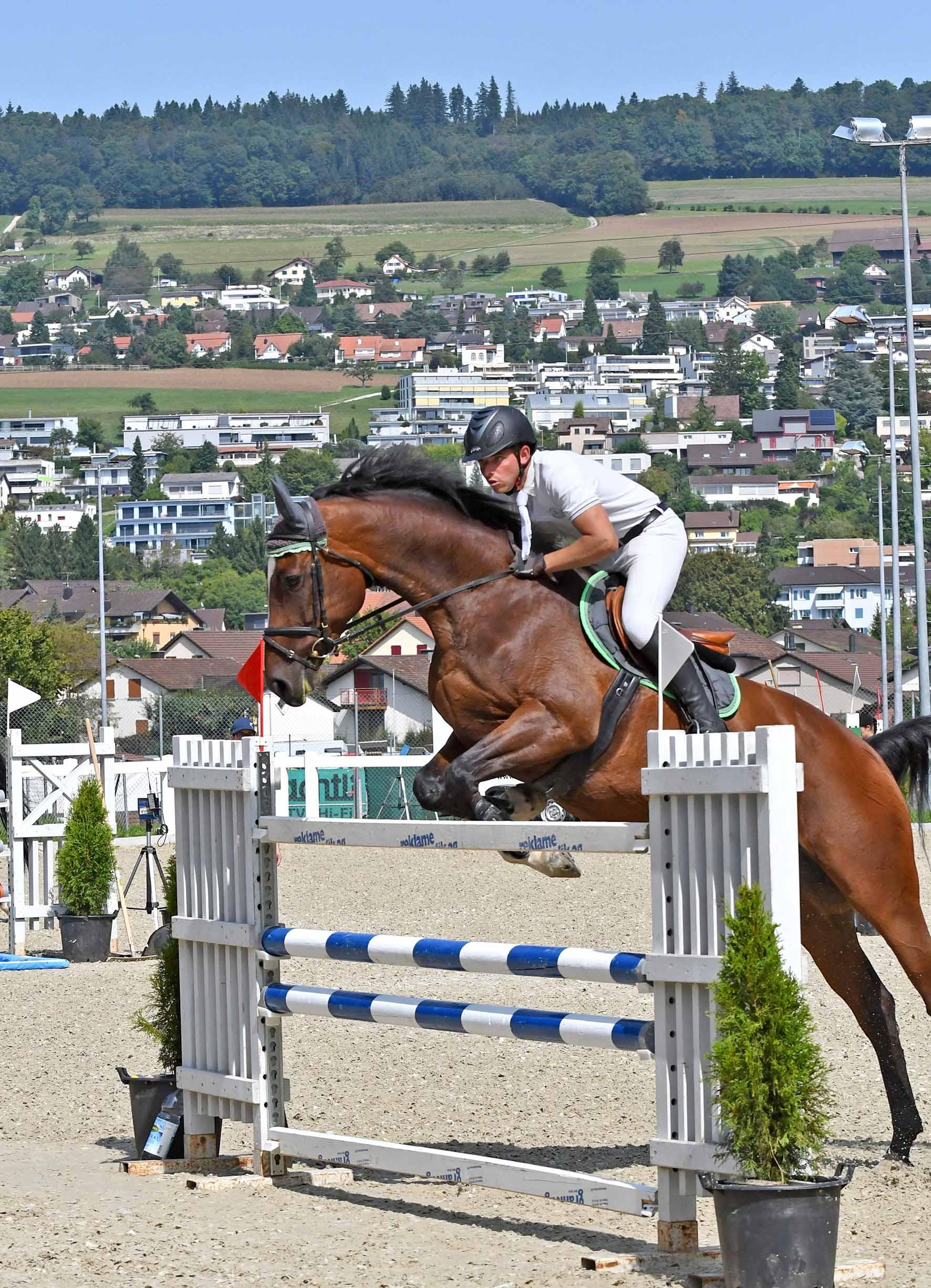 Amateur gegen Olympiareiter