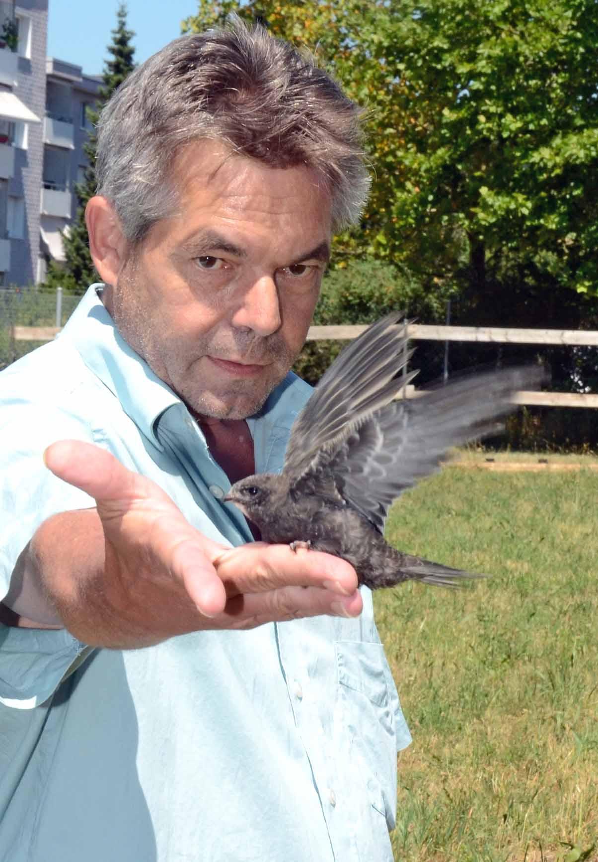 Vogelretter im Dauereinsatz - Das Bild wird blockiert. – Möglicherweise durch einen aktiven Adblocker.