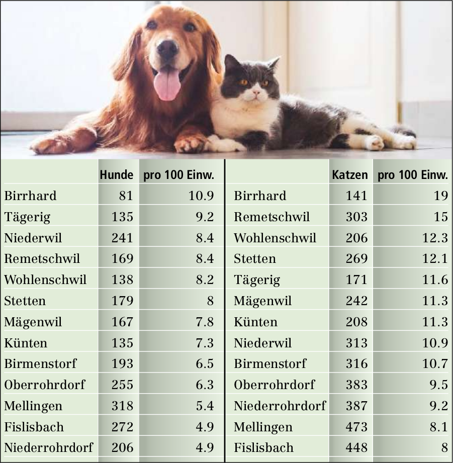 So viele Haustiere leben in der Region