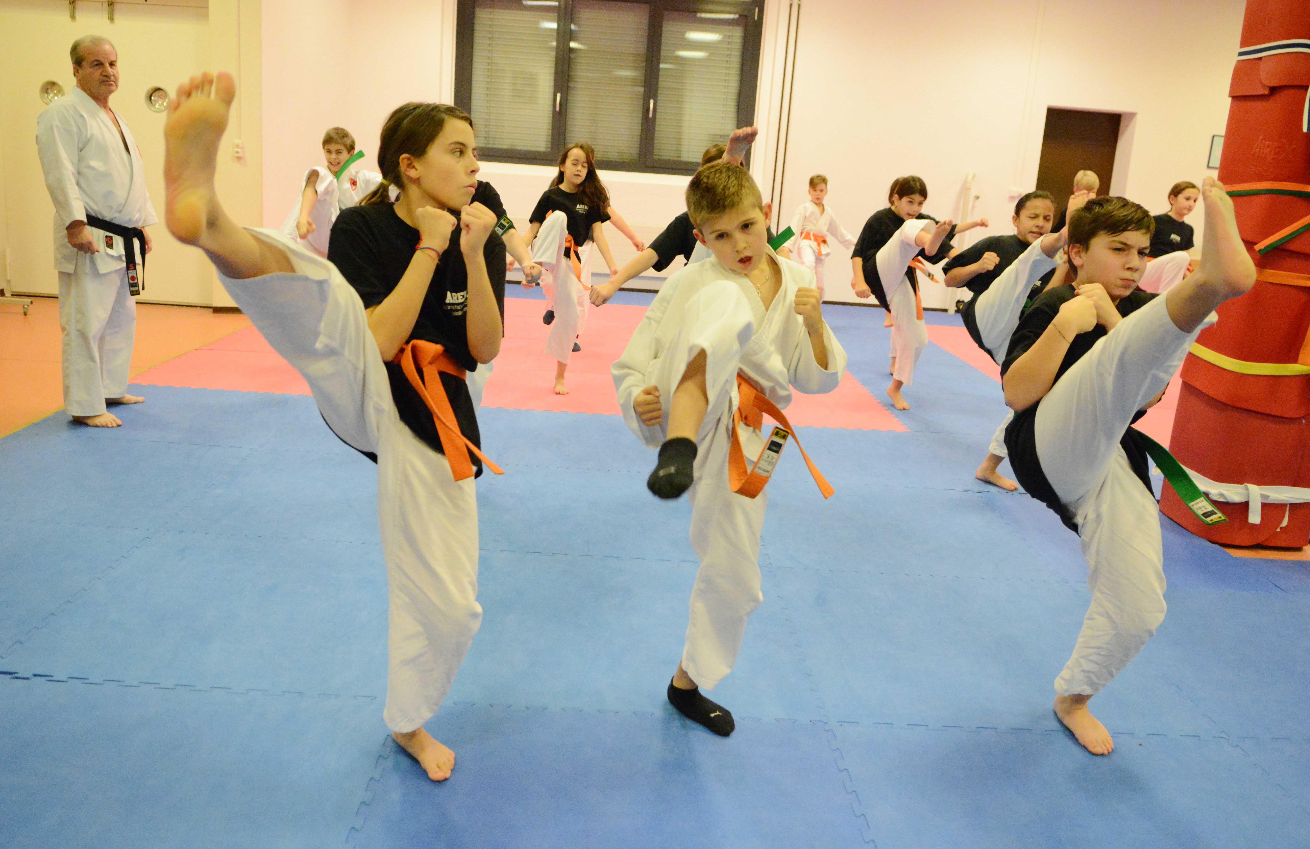 Sport: SM-Gold für Mellinger Karate-Kids