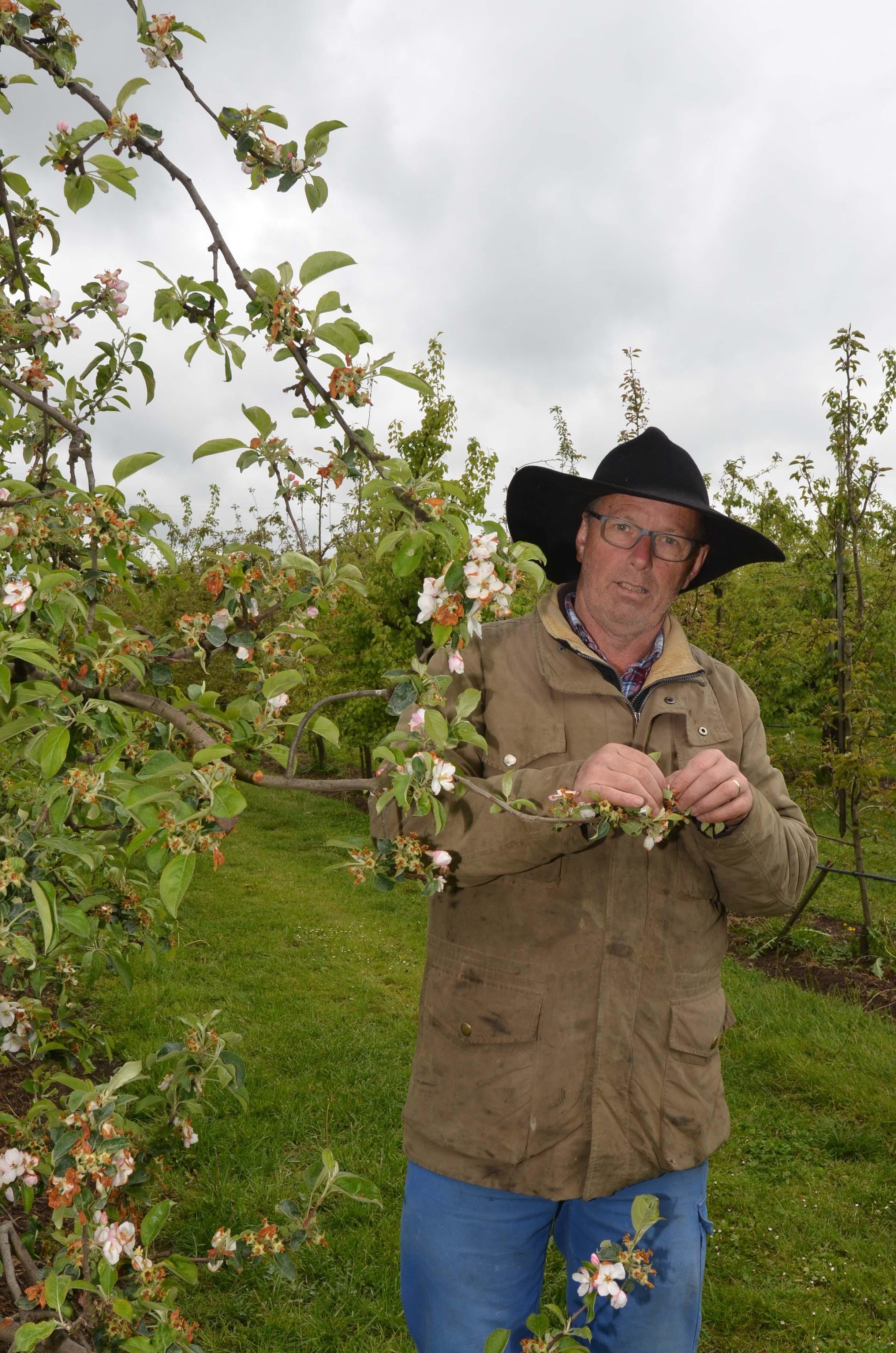 Die Obstbauern hat es bös erwischt