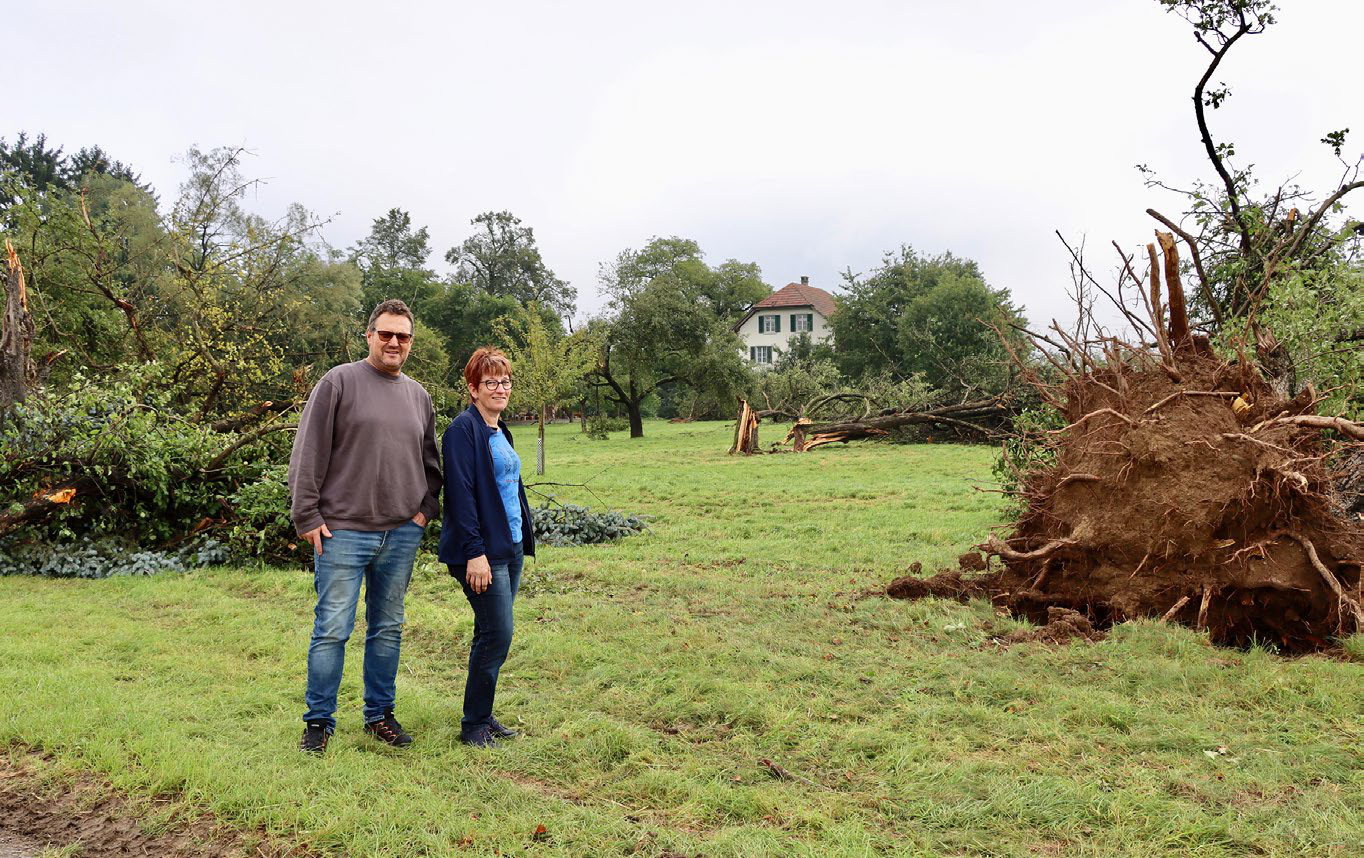 Gewittersturm fegte durch Obstgarten