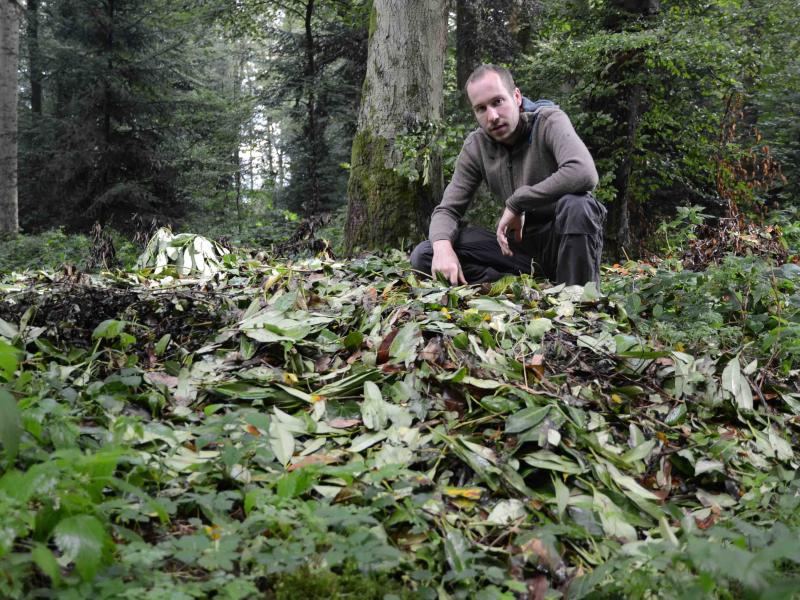 «Ich will das nicht in meinem Wald»