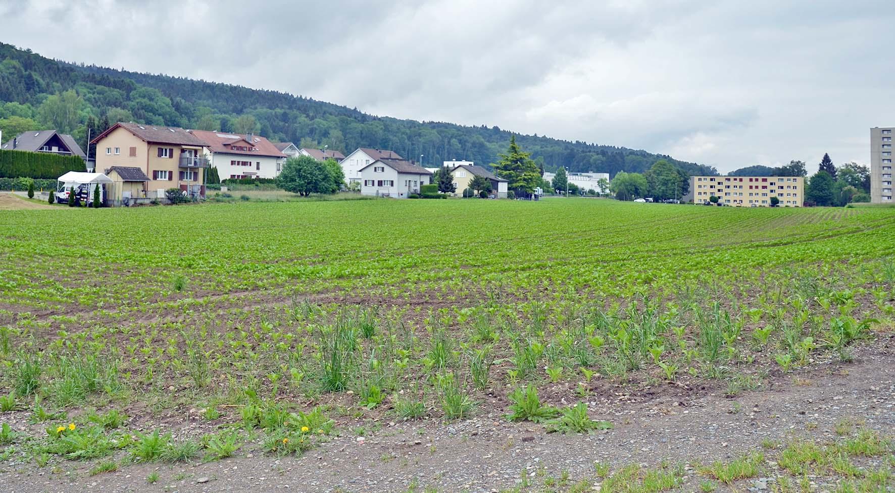 Fislisbach: Platz für 400 neue Einwohner