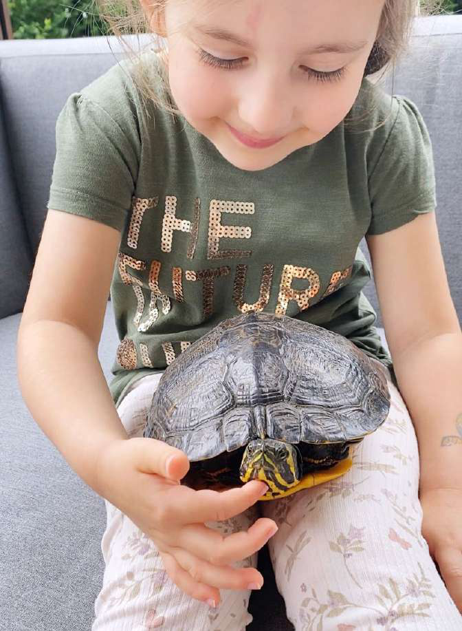 Schildkröte «Rudy» wurde ausgesetzt