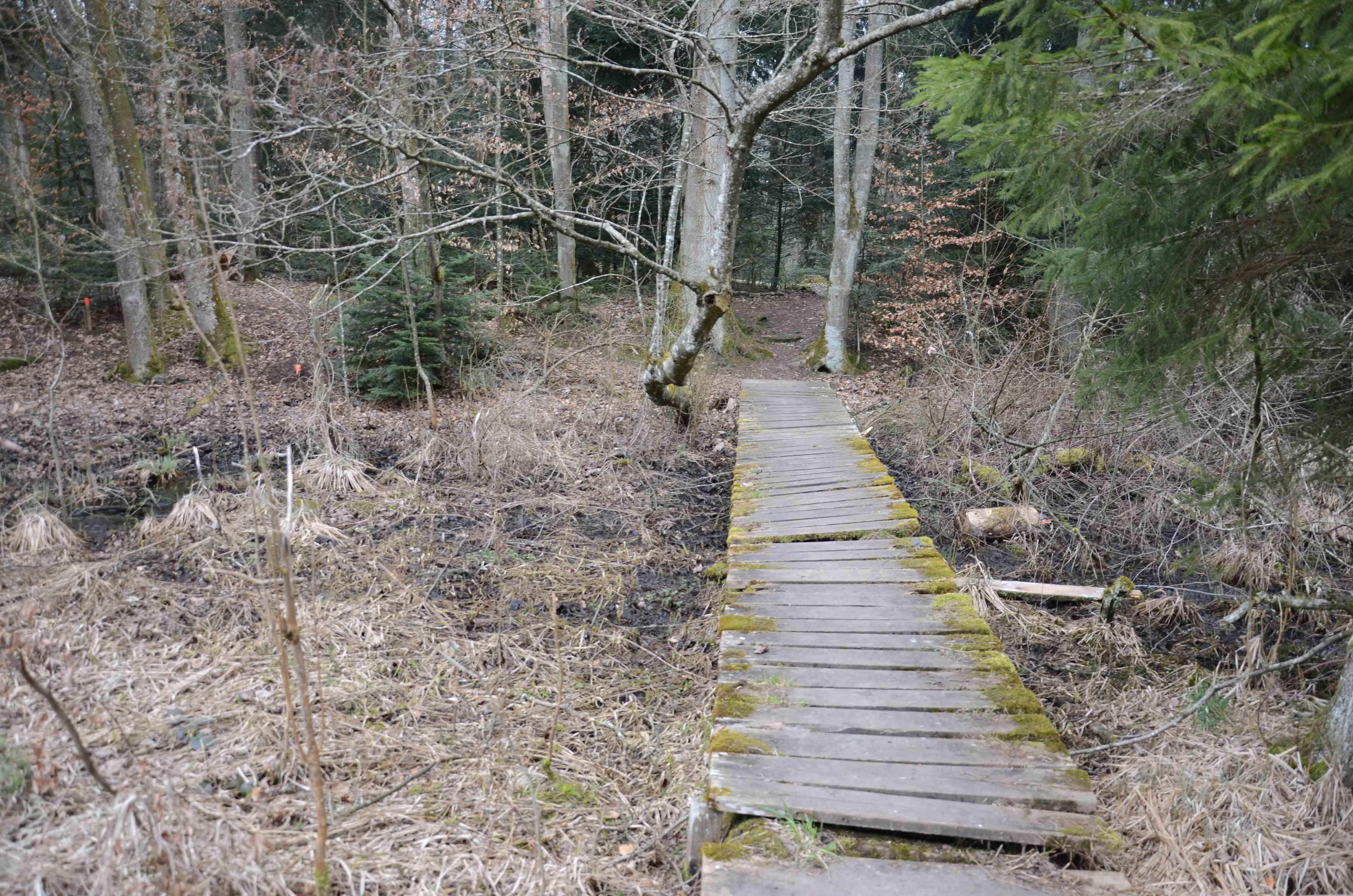 Hockeyweiher wird ein Viertel grösser