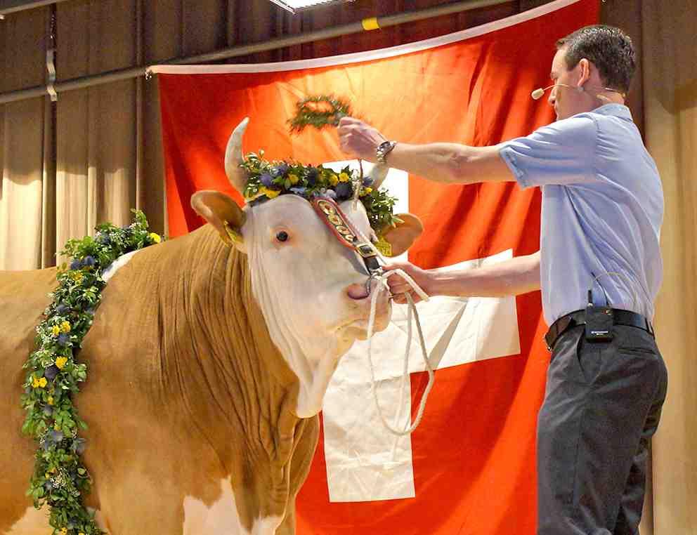 «Bruno» wartet auf die Bösen