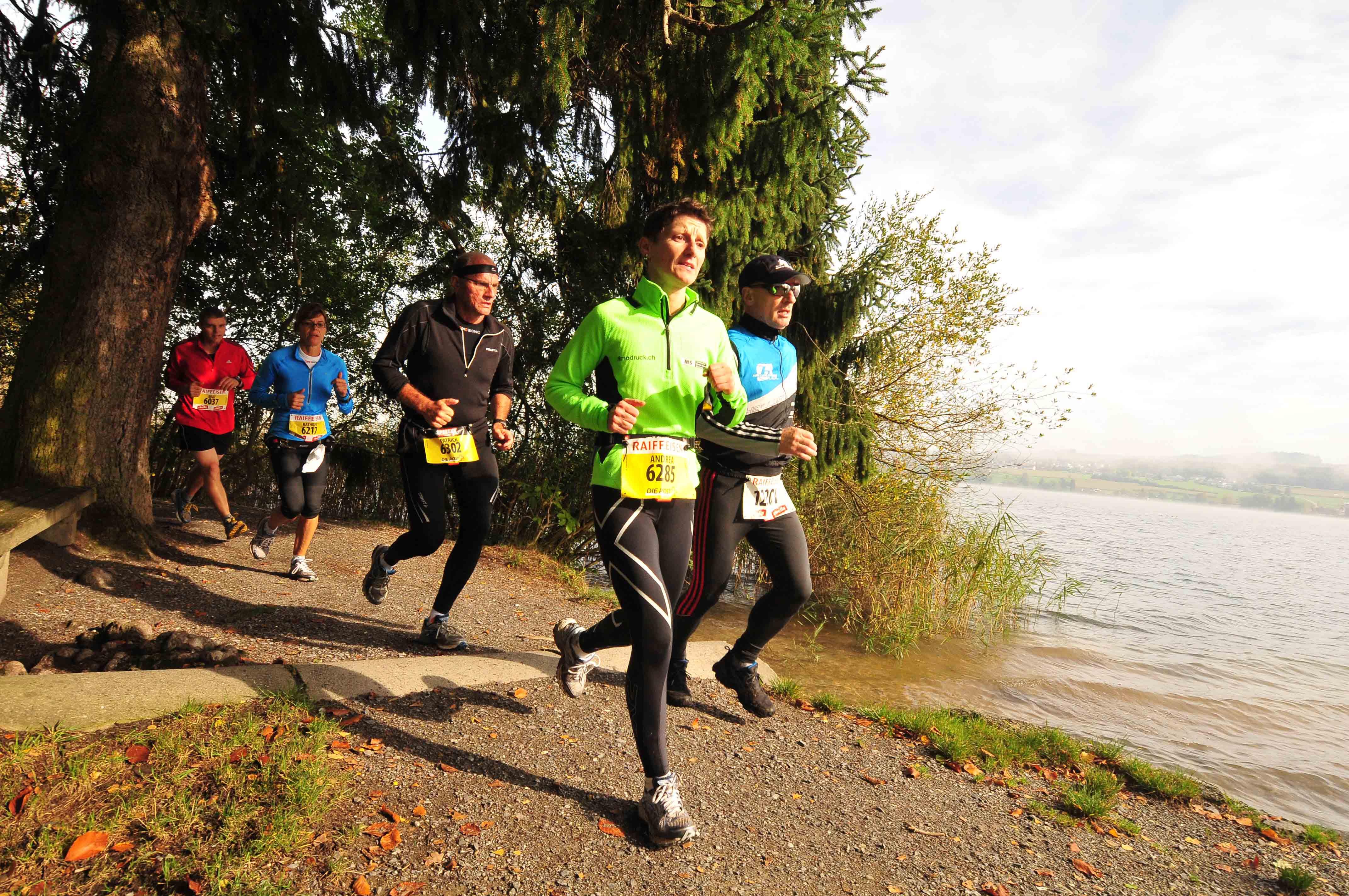 Schnelle Reusstaler am Hallwilersee