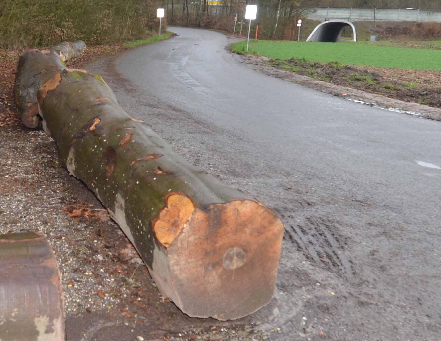 Baumstämme gegen Wildparkierer in Birrhard - Das Bild wird blockiert. – Möglicherweise durch einen aktiven Adblocker.