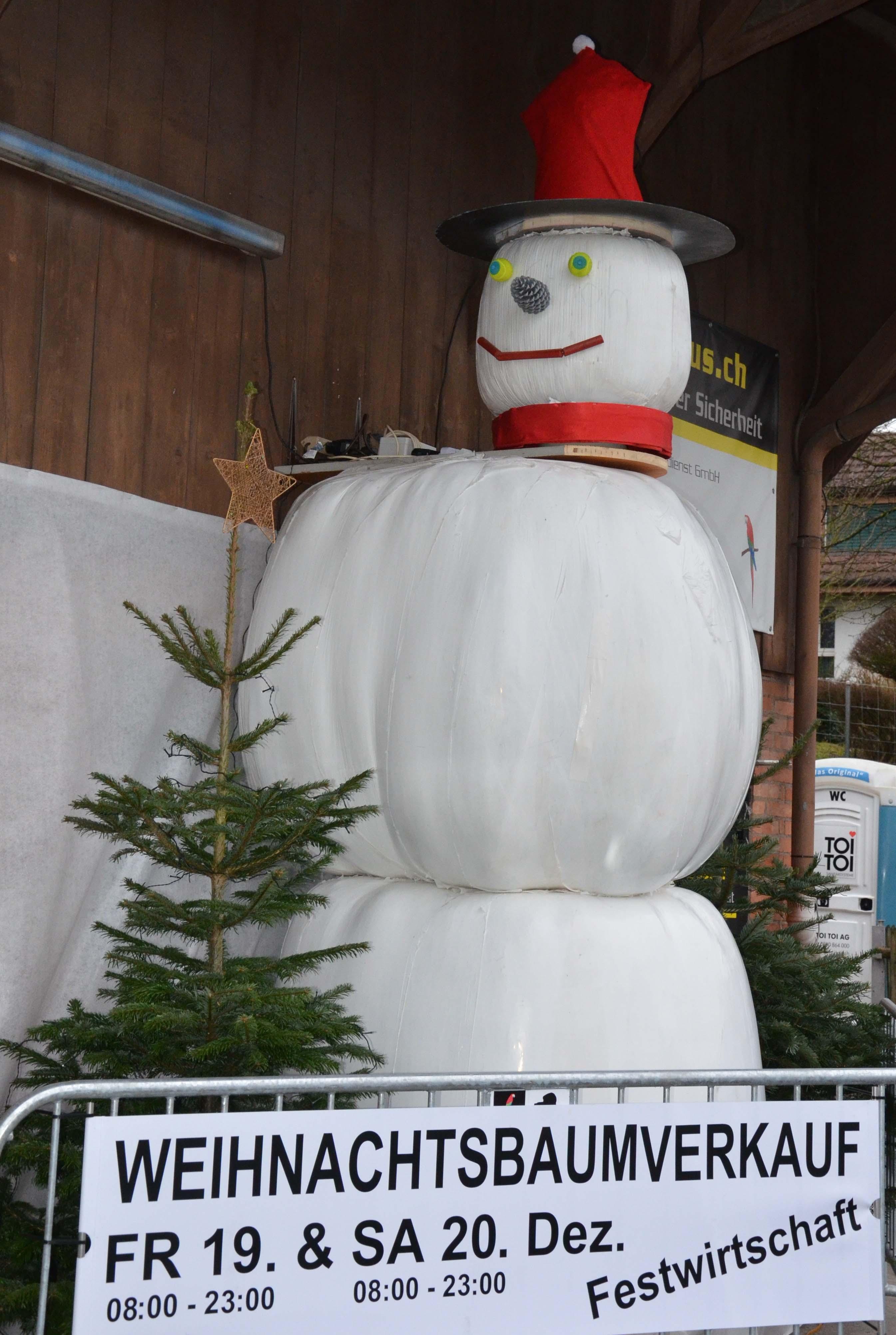 Schneemann kann den Kopf wieder drehen - Das Bild wird blockiert. – Möglicherweise durch einen aktiven Adblocker.