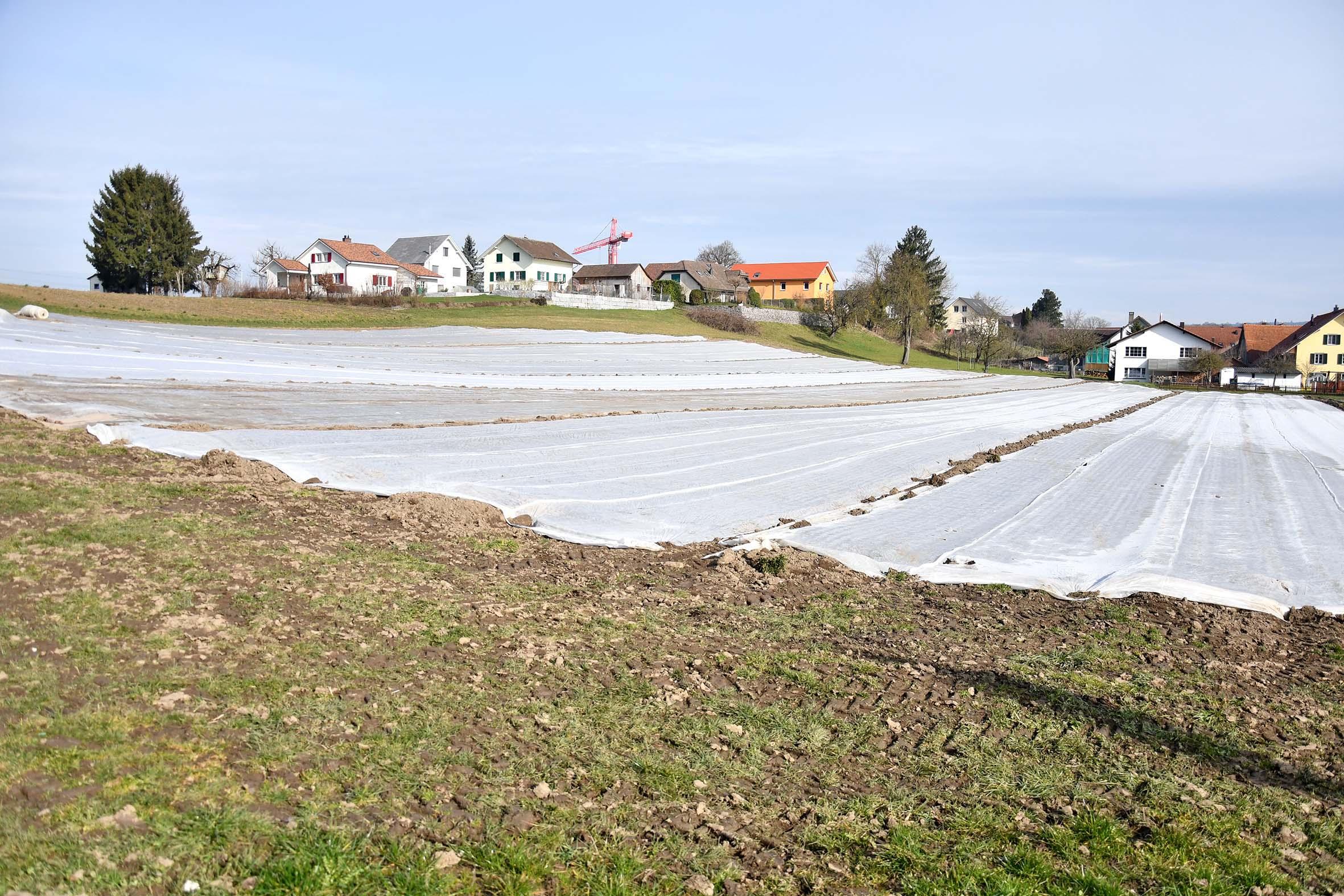 Birrhard: Platz für bis zu 120 neue Bewohner