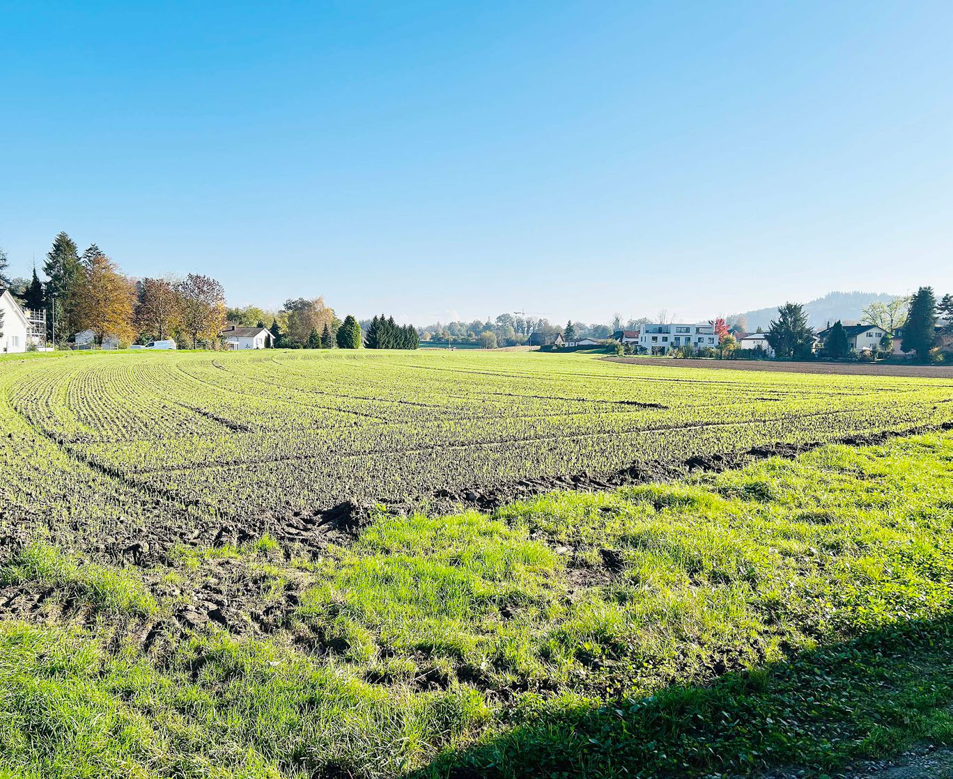 Es geht vor Gericht um eine Millionenforderung