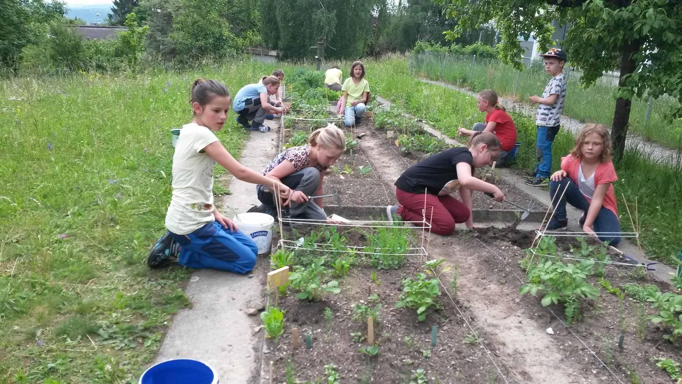 So bereitet Gartenarbeit allen Spass 