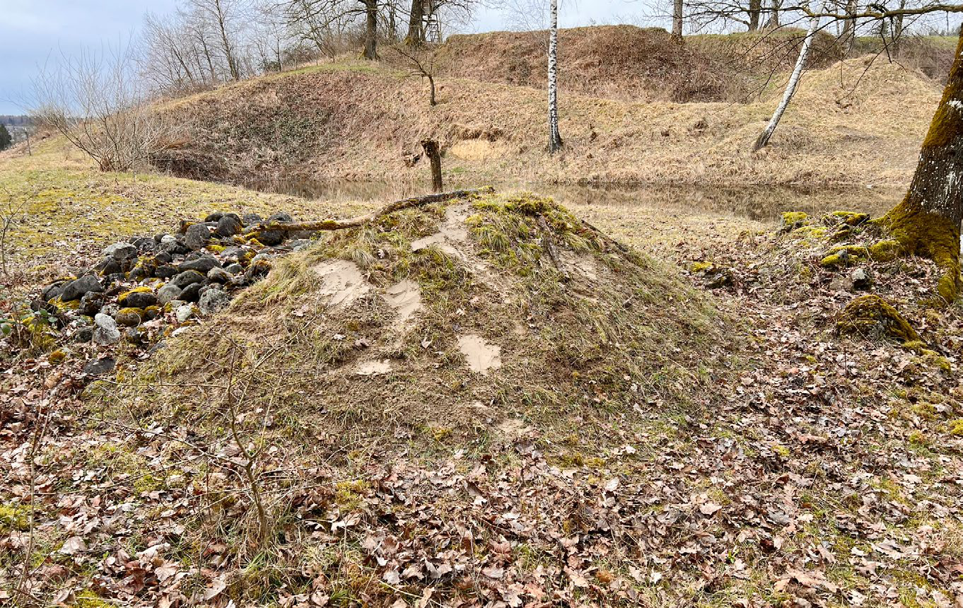 Seidenbienen überleben Dachs-Besuch