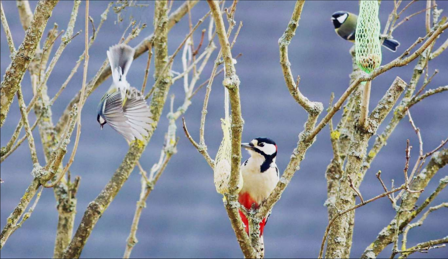 Die Natur zeigt sich von ihrer schönsten Seite