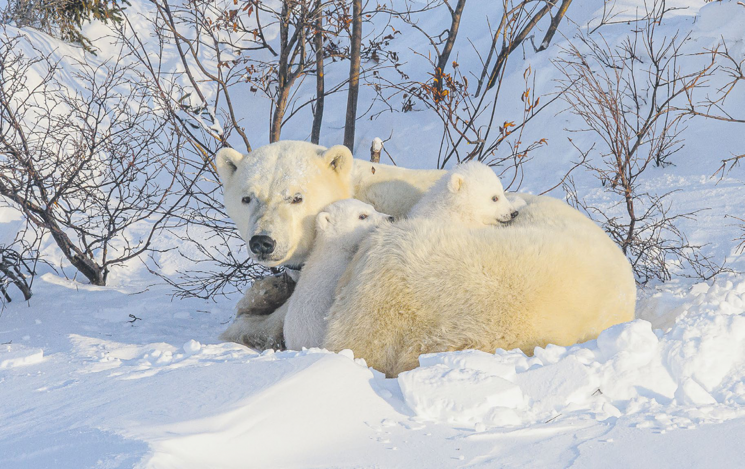 Bei minus 45 Grad die Welt entdecken