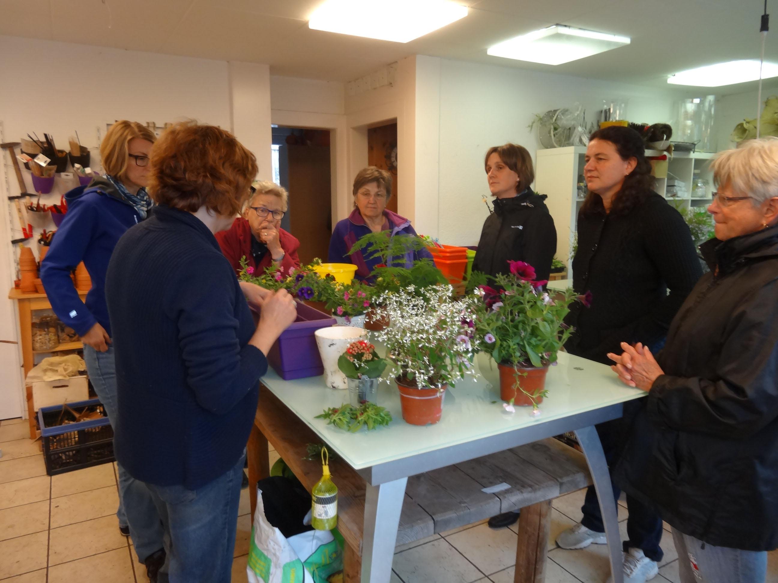 Blumenkurs in Hunzenschwil - Das Bild wird blockiert. – Möglicherweise durch einen aktiven Adblocker.