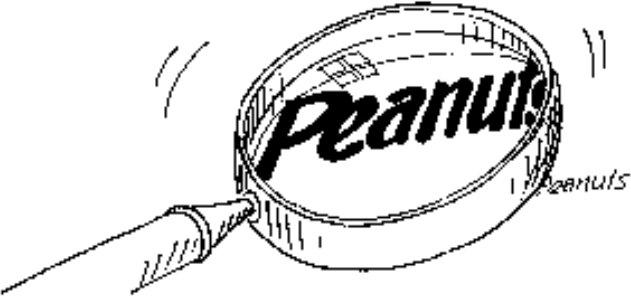 Peanuts - Das Bild wird blockiert. – Möglicherweise durch einen aktiven Adblocker.