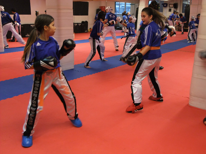 Ein Abend in Rocco Ciprianos Dojo