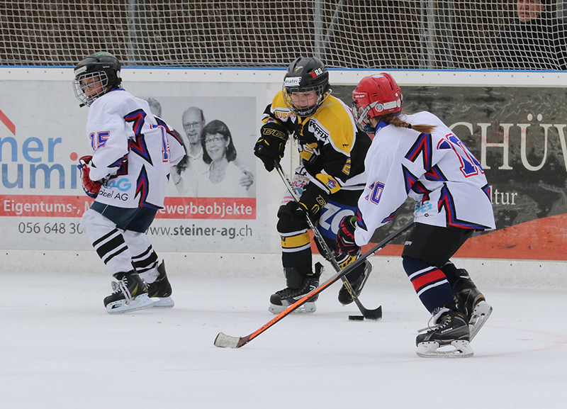 Moskitoturnier 2016