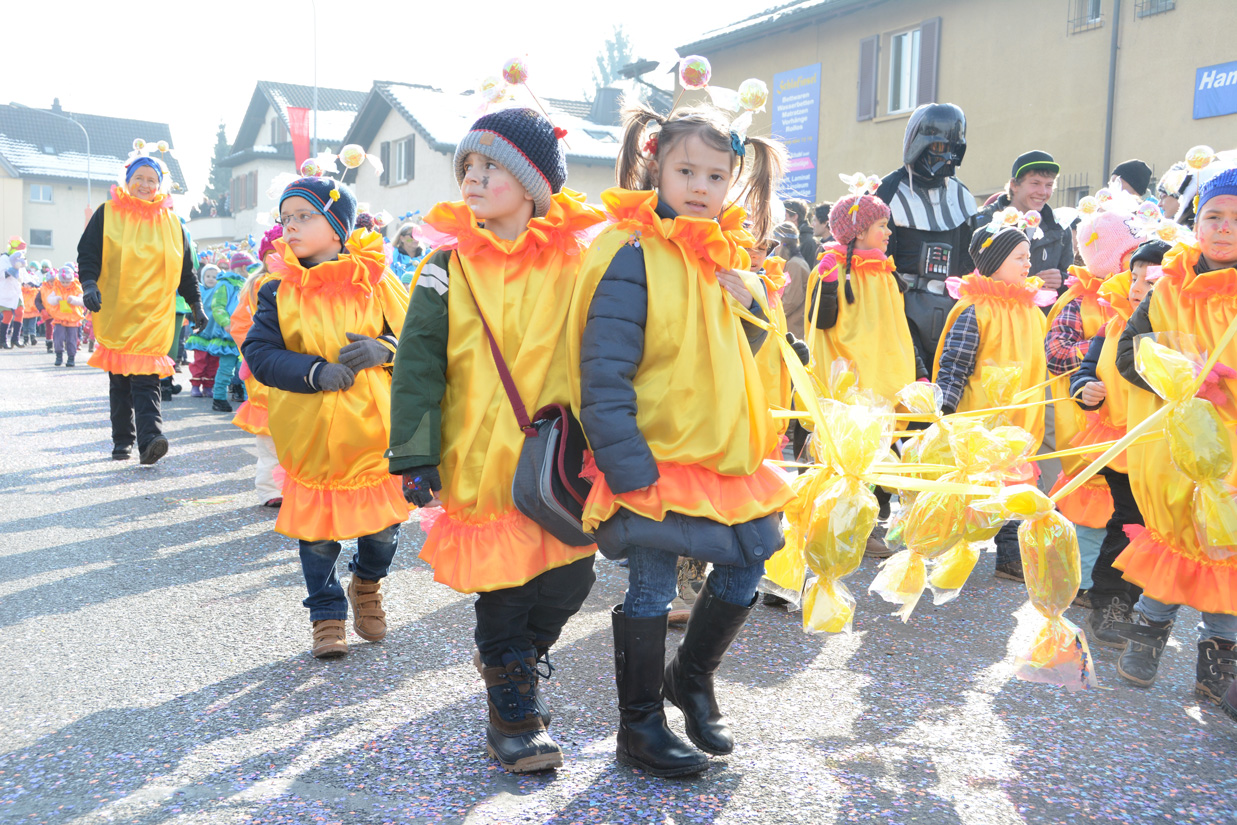 Fasnachtsumzug in Muri 2015