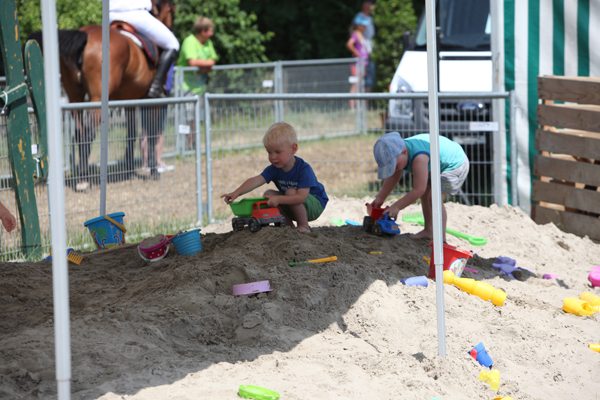 Springkonkurrenz Wohlen 2013