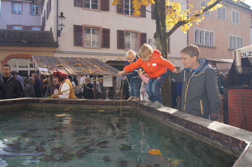 Markt der Vielfalt, Bremgarten