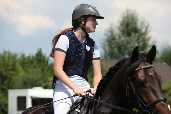 Springkonkurrenz Wohlen 2013