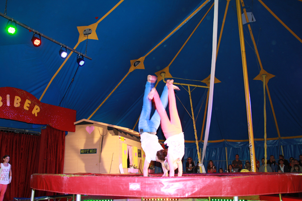 Zirkus Biber