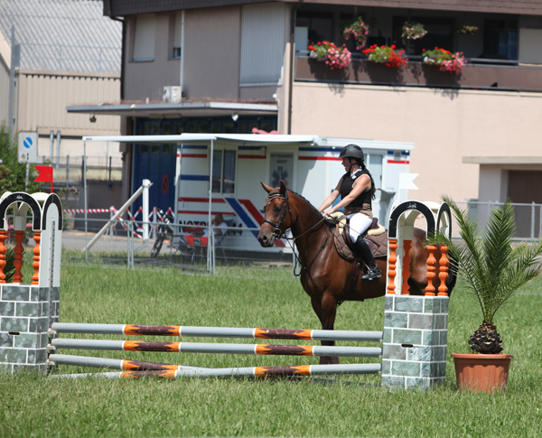 Springkonkurrenz Wohlen 2013