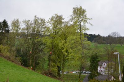 Heli-Einsatz beim Schloss