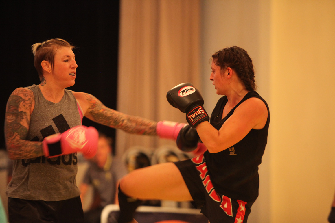 Sanda Fight Night 2016